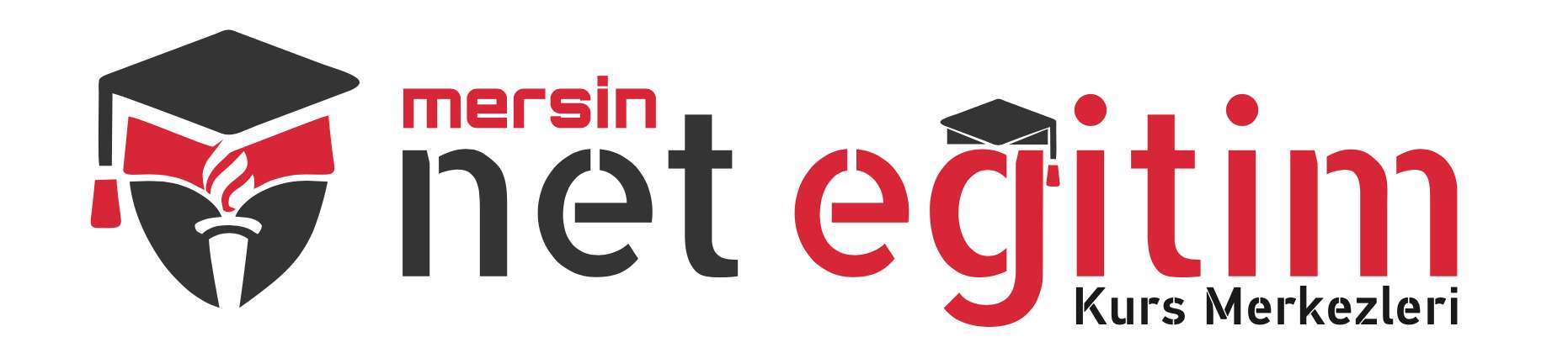 MERSİN NET EĞİTİM - Sınav Kayıt Logo